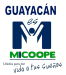 Guayacán Es MiCoope